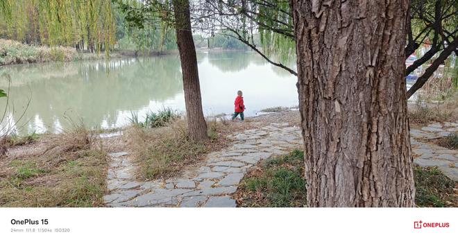 物值得推荐？一加这些好物非常适合看一眼mg不朽情缘游戏网站双十二有哪些生活好(图16)